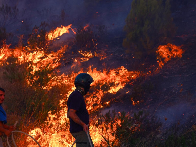 Humo de incendios forestales contiene contaminantes peligrosos, advierte estudio