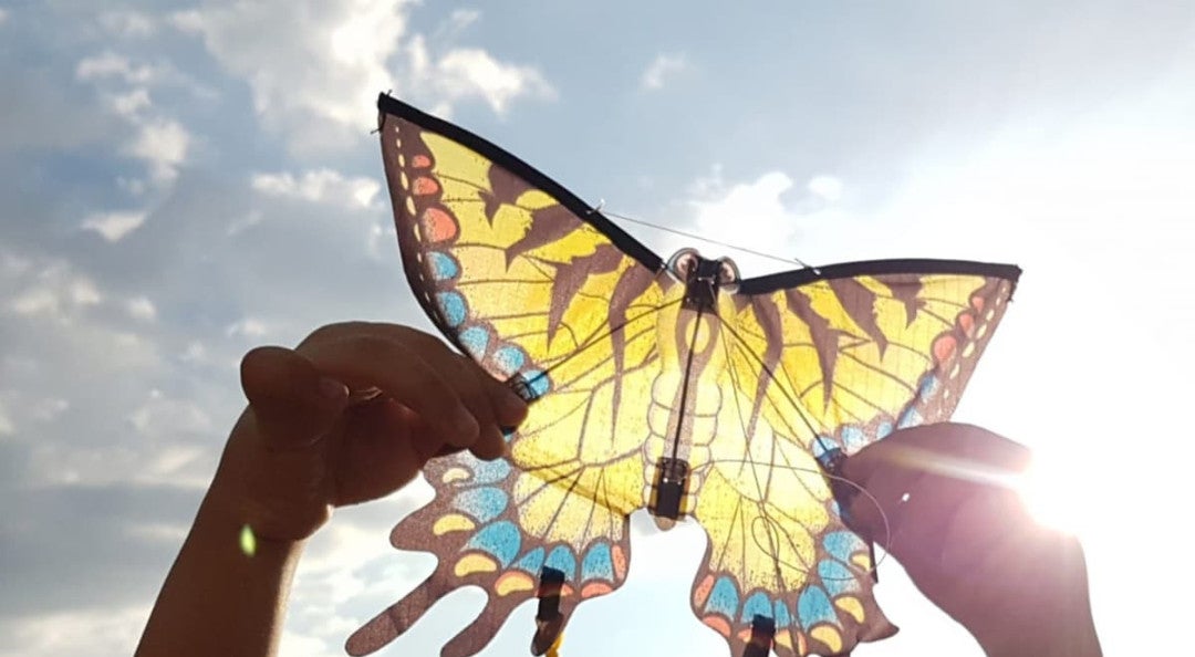 La exposición “Mariposas de papel, una mirada que da voz” reúne 63 testimonios de víctimas de abuso sexual