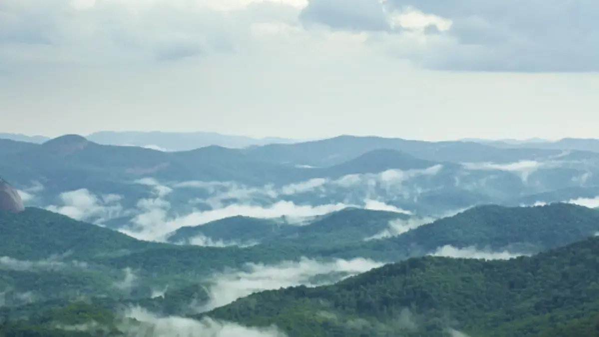 Los misterios de la cordillera de los Apalaches en EE. UU., un lugar donde abundan leyendas y desapariciones