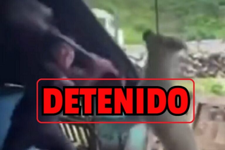 #Michoacán Cayó El HDTSPM Que Se Grabó, Colgó Y Mató A Palazos A Perrito Callejero En Jiquilpan - Changoonga.com