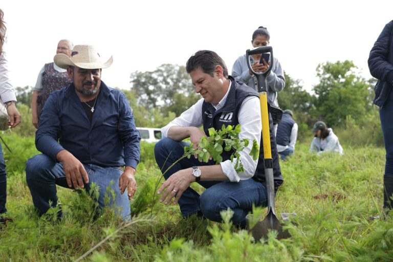 #Morelia Alfonso Martínez Encabeza Reforestación En Chiquimitío - Changoonga.com