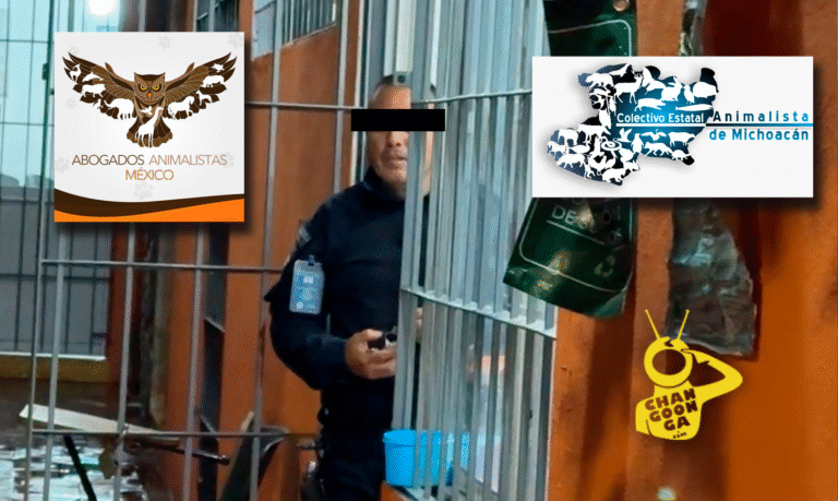 #Morelia Animalistas Exigen Castigo Ejemplar Para Guardia Que Maltrató A Perrito - Changoonga.com