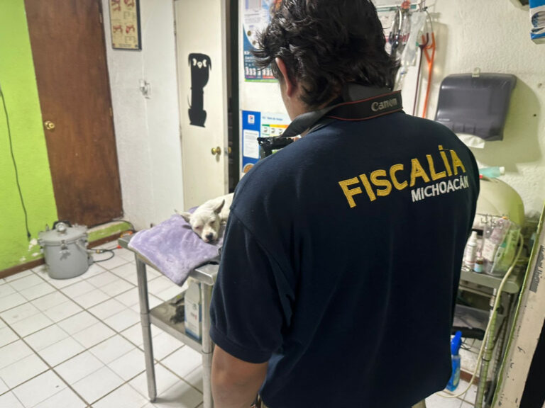 #Morelia Fiscalía Continúa Indagando Para Resolver Situación Jurídica De Agresor De Perrito - Changoonga.com