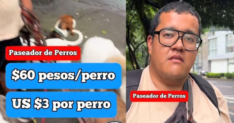 Paseador de perros en CDMX se vuelve viral por sacar 17 perros diarios y revela cuánto gana al mes