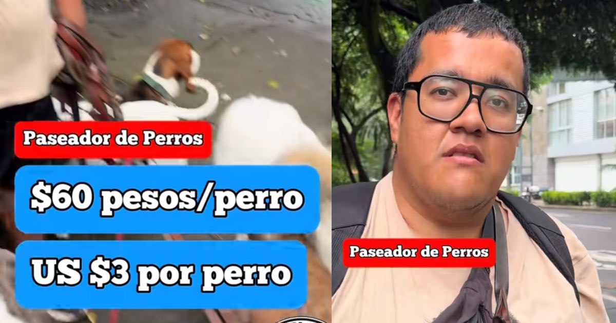 Paseador de perros en CDMX se vuelve viral por sacar 17 perros diarios y revela cuánto gana al mes