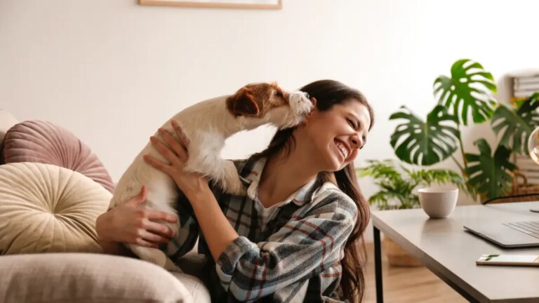 Qué significa que una persona sea muy cercana a los perros, según la psicología