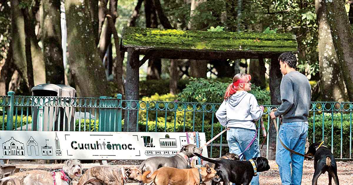Robo de animales en CDMX aumentó 34% en primer semestre