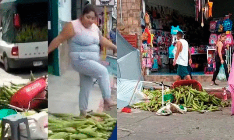 Surge ‘Lady Elotes’ En Veracruz: Mujer Destruyó Y Pateó Un Puesto Ambulante De Elotes - Changoonga.com
