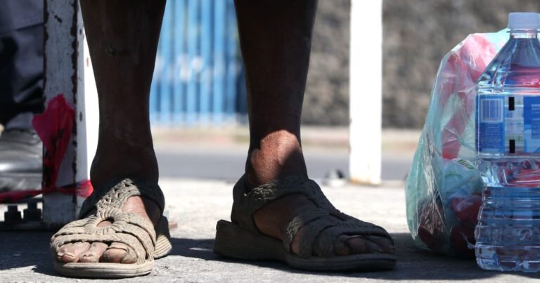 Temen por falta de comida 11.3 millones de hogares