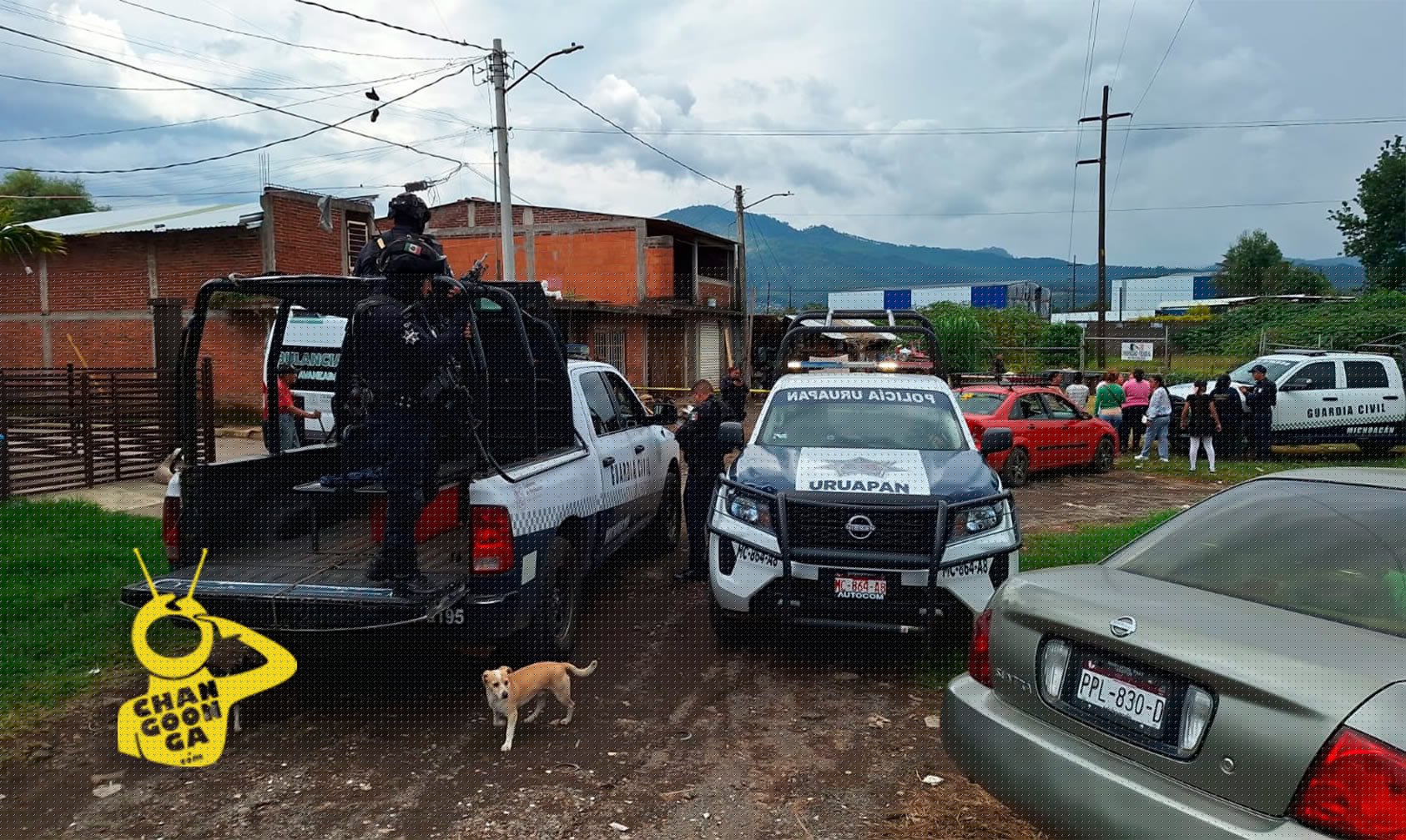 #Uruapan Desviven A Chavo Trabajador En Un Vivero - Changoonga.com