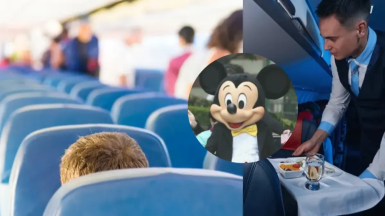 Viajaban a Florida para conocer Disney, pero todo terminó mal por lo que hizo este azafato en su vuelo
