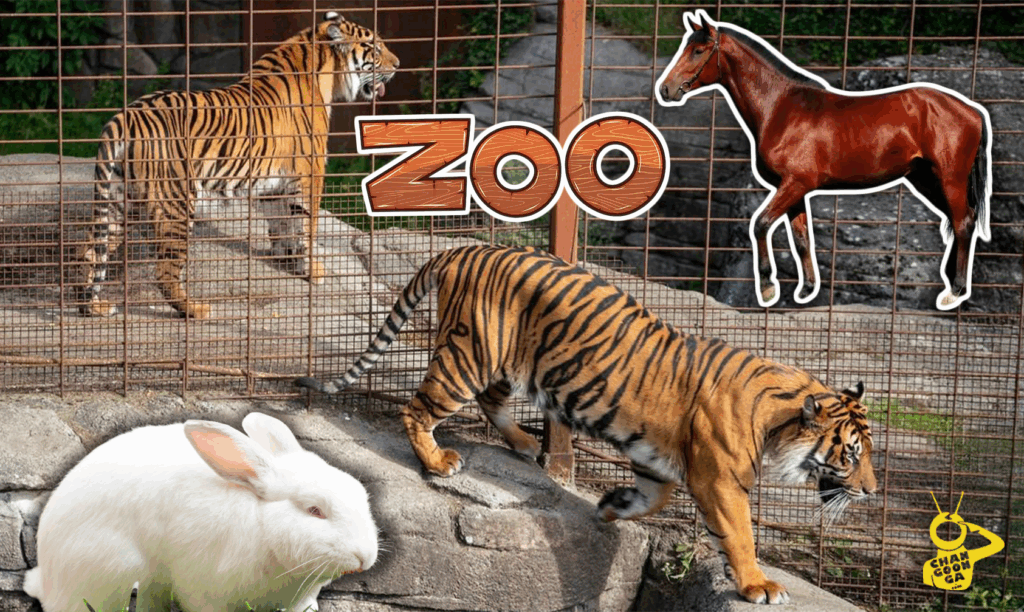 Zoo De Dinamarca Pide Que Donen Mascotas Para Alimentar A Sus Animales - Changoonga.com