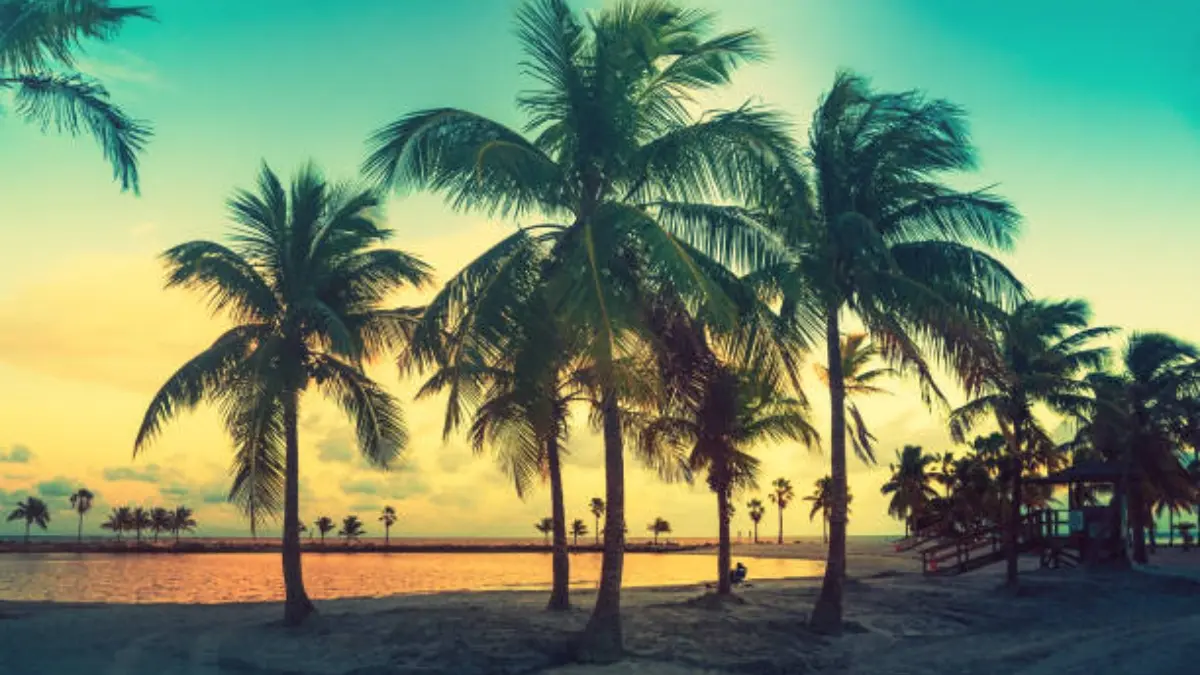 el lugar de Florida que fue elegido como el mejor de playas en Estados Unidos
