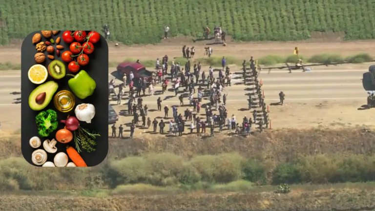 la cifra de la seguridad alimentaria de Estados Unidos que preocupa en medio de las redadas masivas