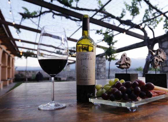 relanzarán sitio de la Ruta Vinos y Dinos para este verano