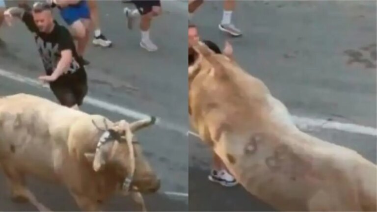 un toro reaccionó a un golpe y le dio una coz en la cabeza a un participante de las Fiestas de Sant Roc en Tarragona, España