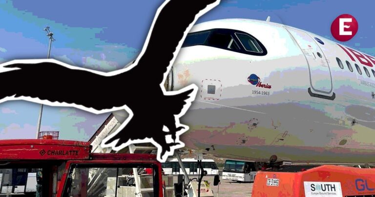 ¡De miedo! Avión de Iberia regresa a aeropuerto tras chocar con ave