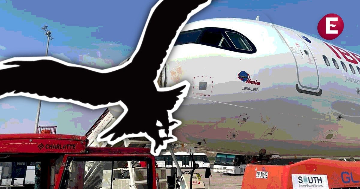 ¡De miedo! Avión de Iberia regresa a aeropuerto tras chocar con ave