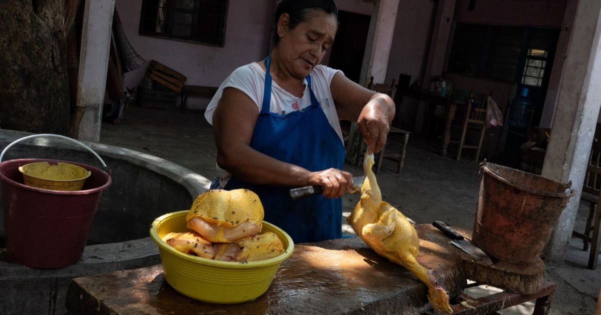 ¿Se debe lavar el pollo antes de cocinarlo? Esto dicen los expertos