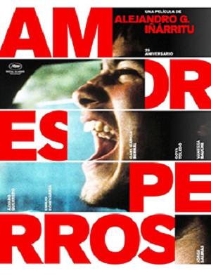 Amores Perros, 25 años de disciplina y riesgo en el cine