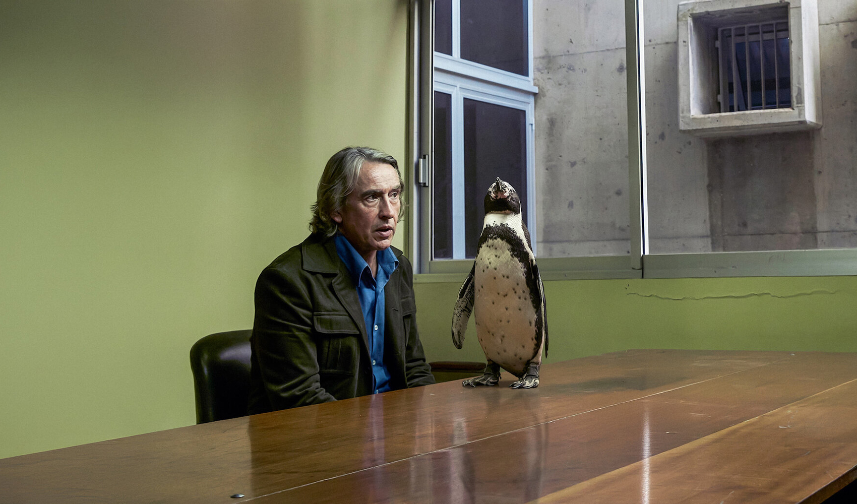 Lo que aprendí de mi pingüino lleva a los cines españoles una historia real de amistad y esperanza
