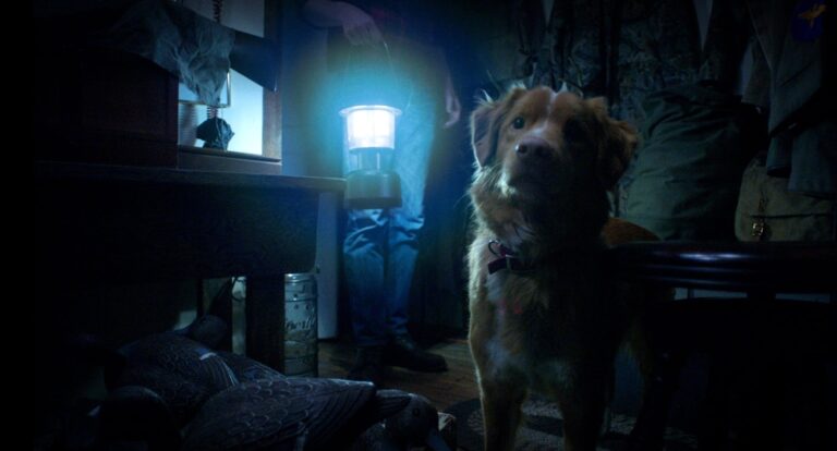 Good Boy impulsa campaña inédita para que Indy, su perro protagonista, aspire al Oscar