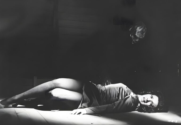 llega el II Maratón de Cine de Terror a la Filmoteca de Cantabria