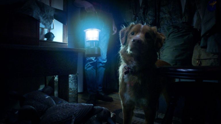 Crítica de “Good Boy”: Terror perruno que encuentra una nueva mirada para el género