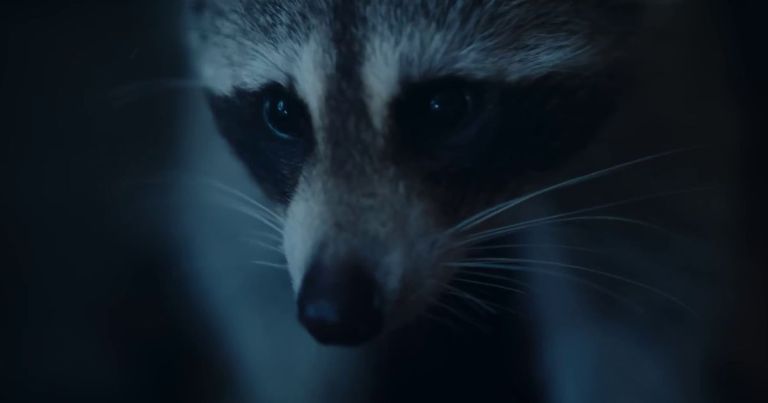 Crítica de "Naturaleza de pesadilla: Perdidos en la selva”: el documental donde la supervivencia se vuelve horror