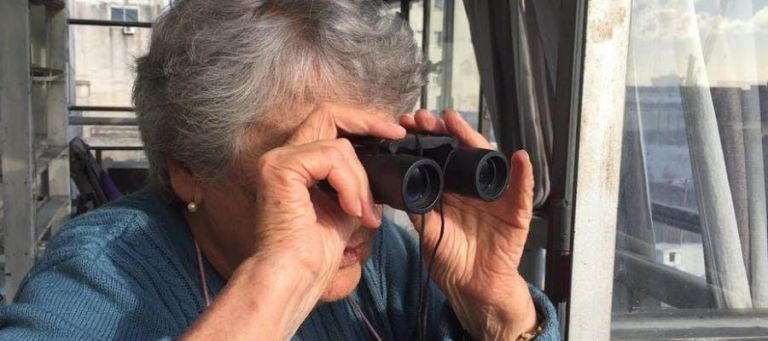 Se celebra el "Día de las Películas Familiares" con proyecciones abiertas